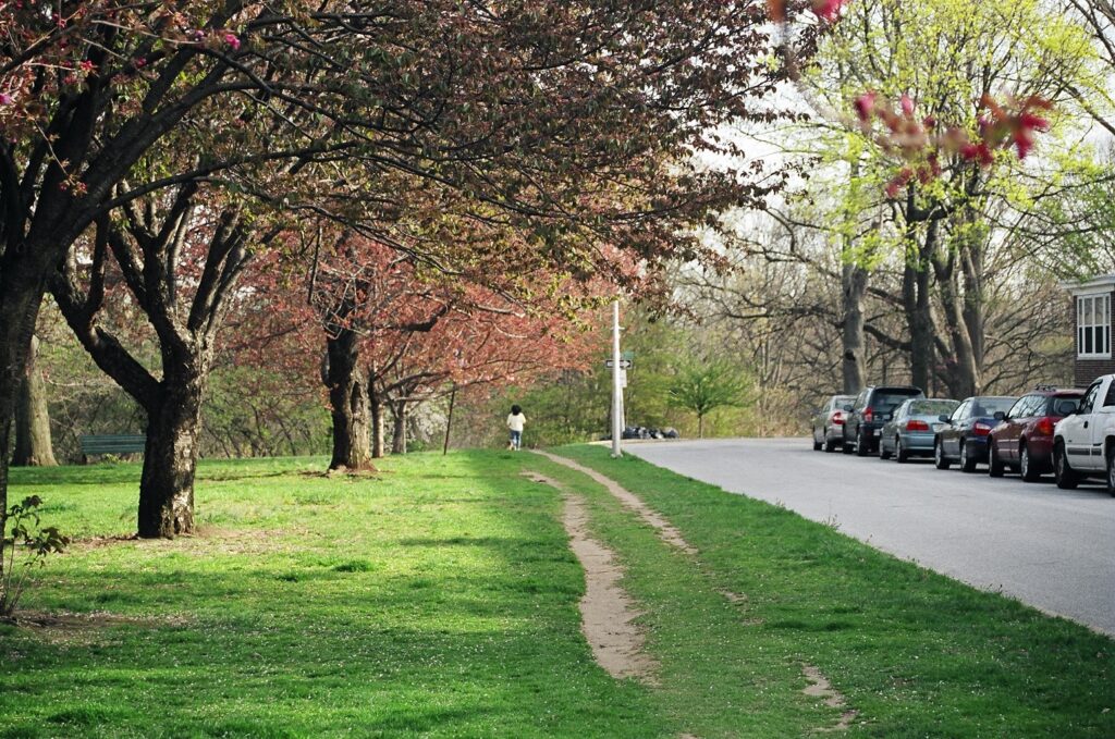 A runner runs in the park in early spring.