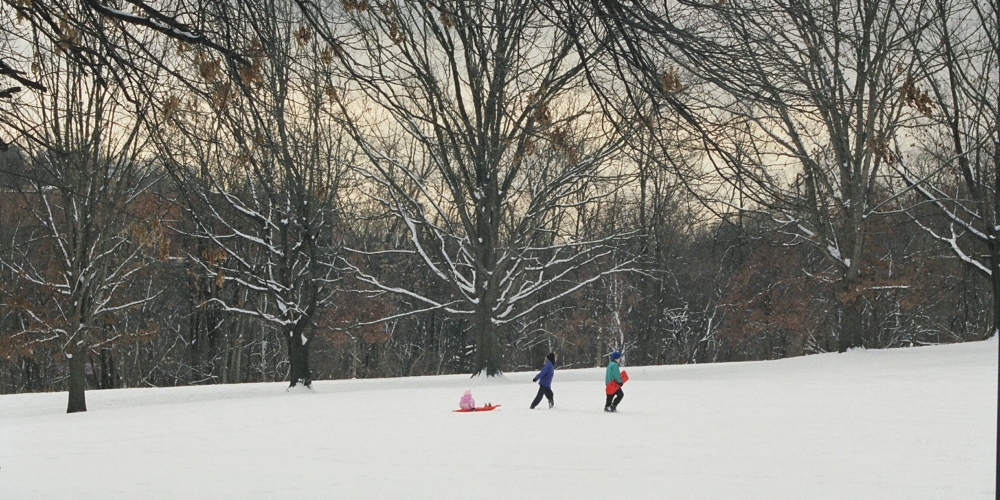 Park covered in snow. Three figures, one pulled in a sled.
