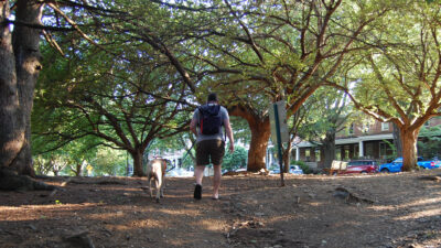 Man walking his dog in the park.