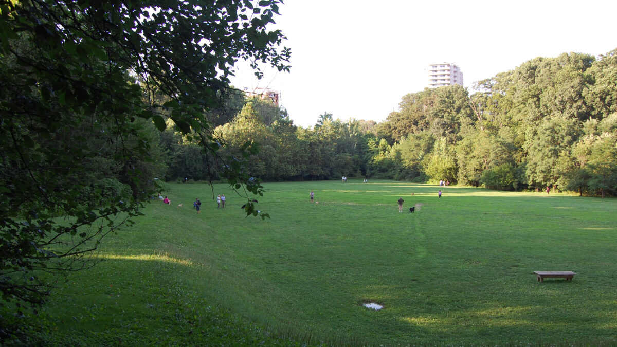Lower field in Wyman Park where people are walking and running their dogs.