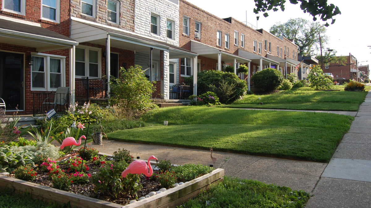 Line of brick rowhouses with green front lawns. One house has a raised flower garden with pink flamingos.