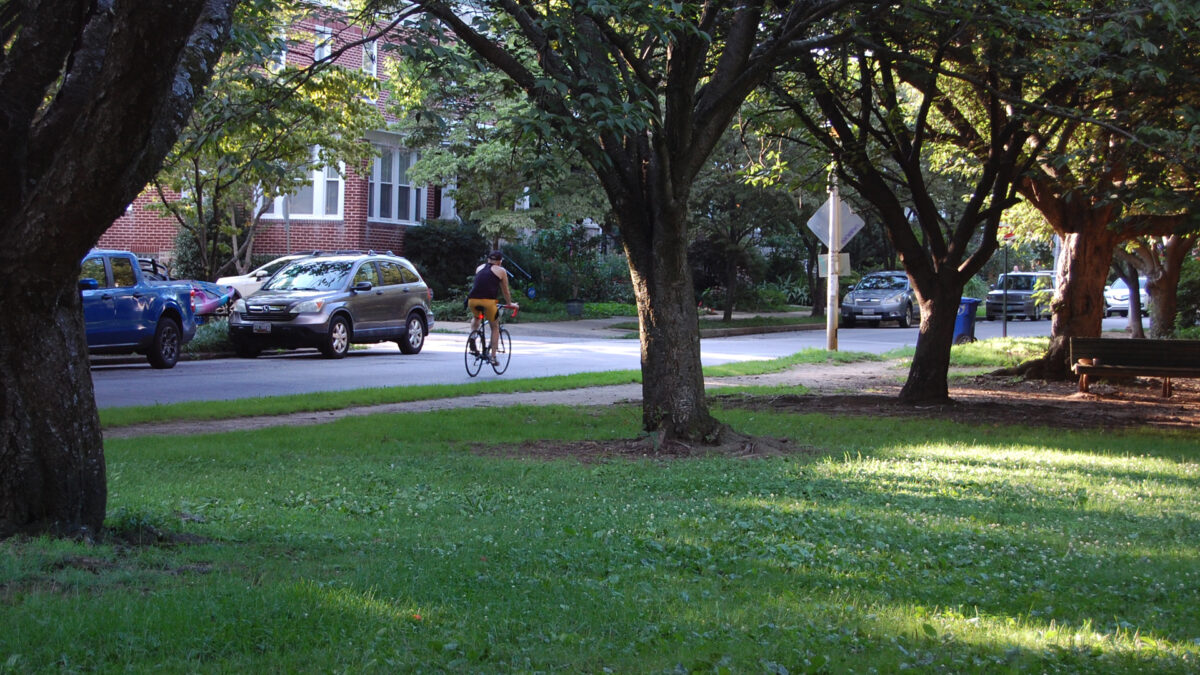 Bicyclist biking up Tudor Arms street, seen between an opening in the canopy of trees in the park. Rowhouses are in the background.