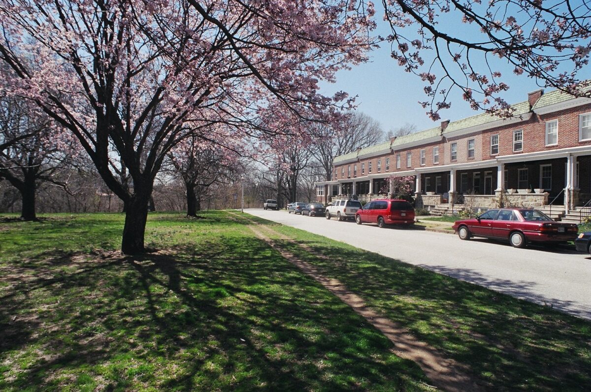 Cherry trees bloom along Tudor Arms