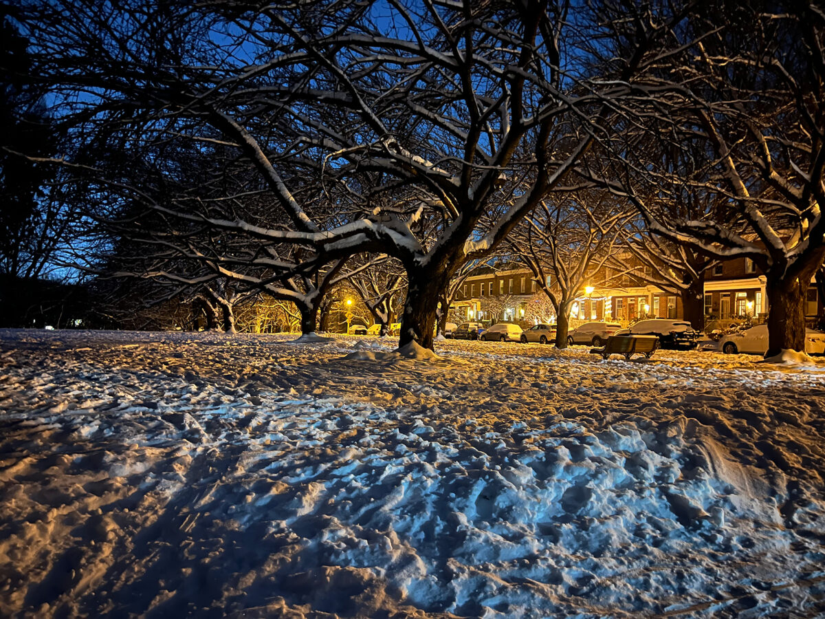 View of houses on Tudor Arms from the snow covered park.