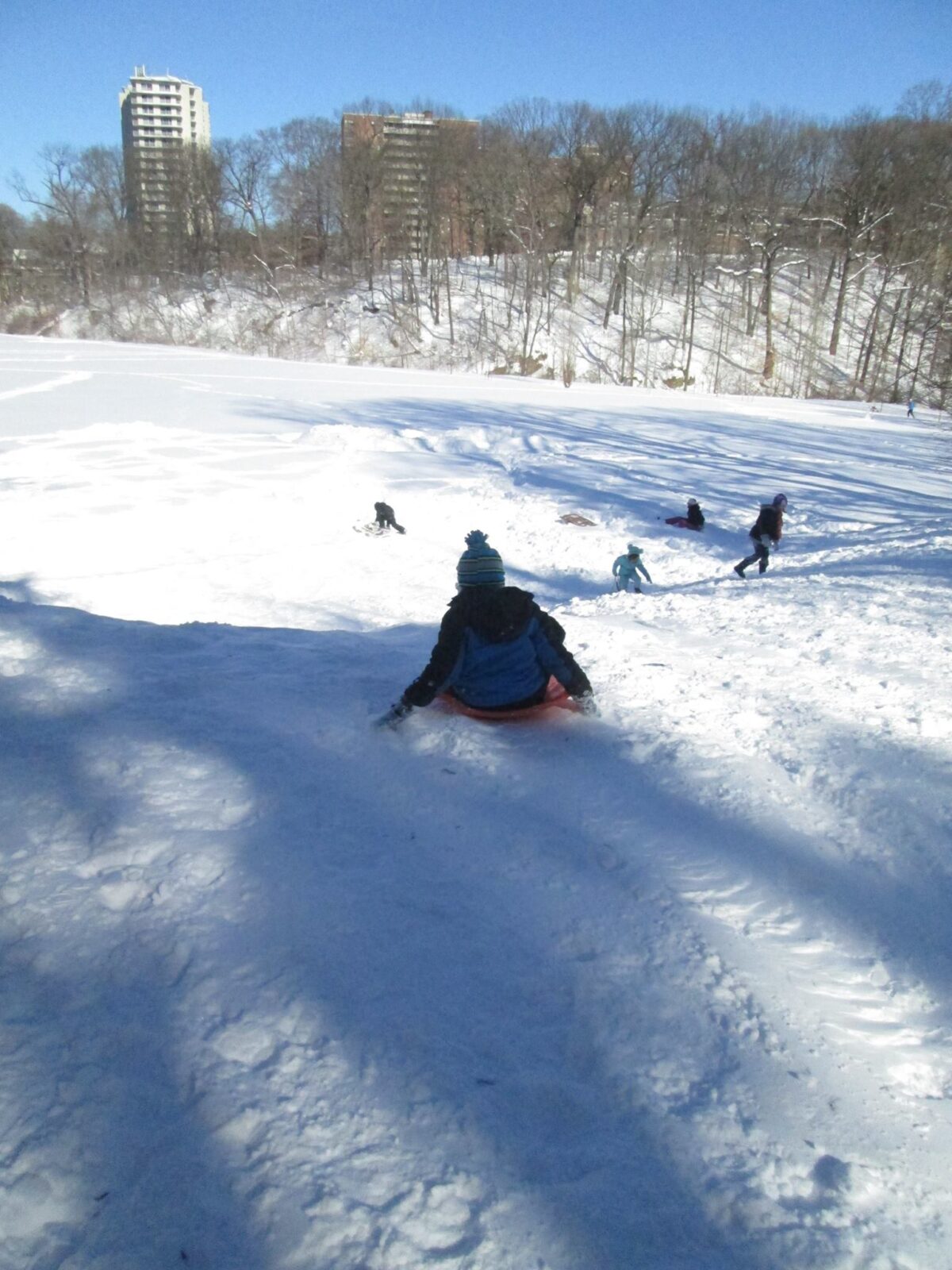 kids sledding down a popular sledding hill in the park